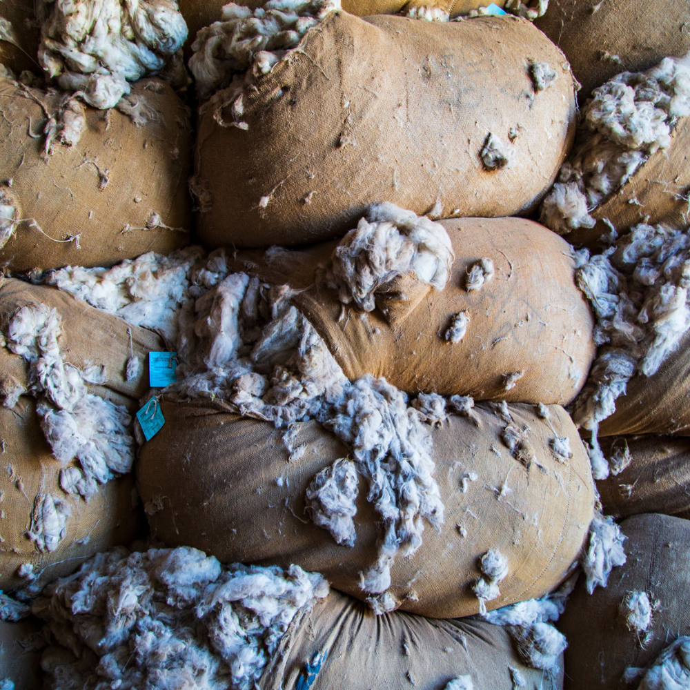 Erstklassige Weichheit und Qualität